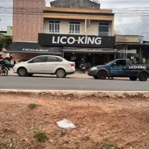Lico King